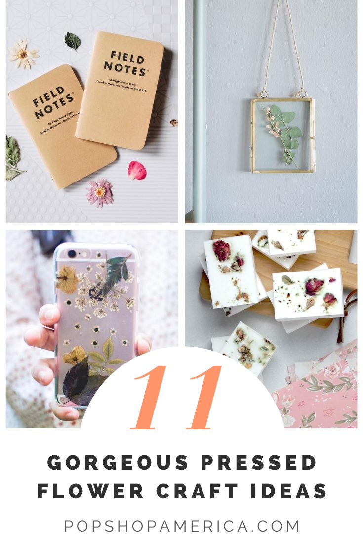 11 Beautiful Pressed Flower Craft Ideas