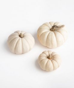 white-faux-pumpkin-for-diy-kit_square