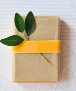 parchment-and-ribbon-wrapped-soap-diy-with-leaves_square