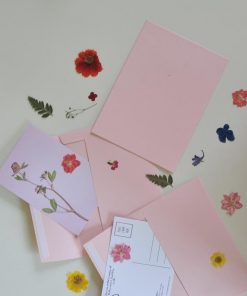 pressed-flower-postcards-flatlay_square