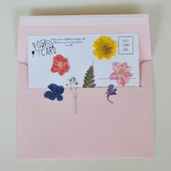 rainbow-flower-pressed-postcard-pack-diy_square