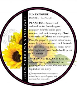 grow your own sunflowers kit care instructions