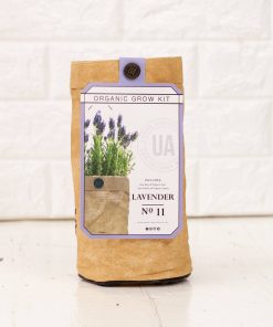 organic lavender herb growing gardening kit