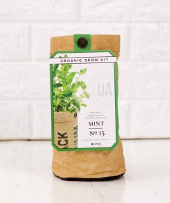 organic mint herb growing kit