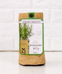 rosemary organic growing kit pop shop america
