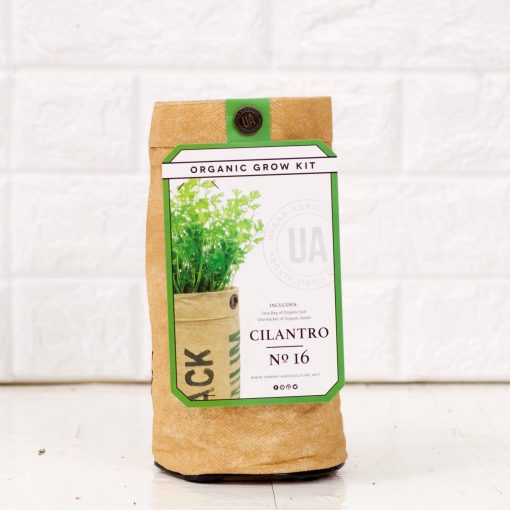 cilantro-herb-garden-growing-kit-diy-pop-shop-america_square