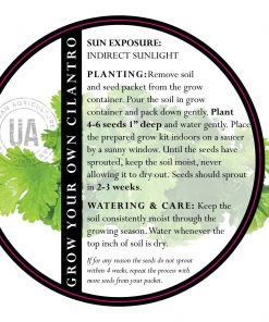 cilantro-herb-growing-care-instructions-diy-pop-shop-america_square