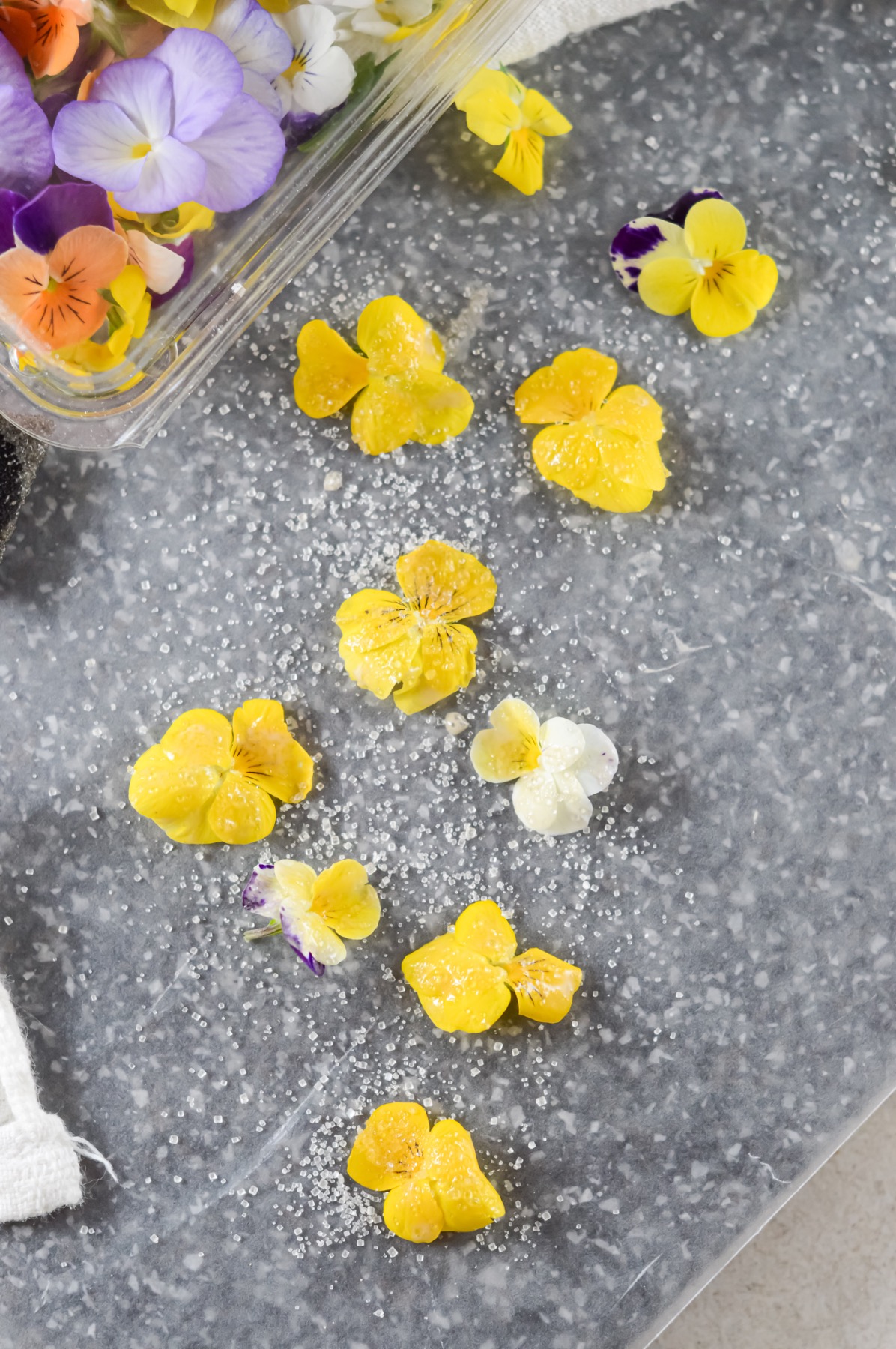 how to make candied pansies and viola flowers
