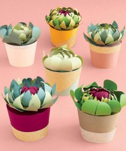 potted succulents paper flower making kit