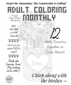 Country-Doodle-Adult-Coloring-Book-Cover-square