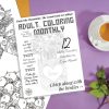 country-doodle-adult-coloring-monthly-sub-box-pop-shop-america-square