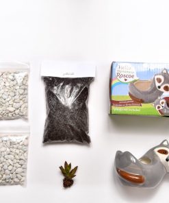 supplies in raccoon terrarium planter kit