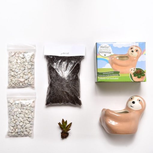 supplies inside sloth gardening terrarium kit