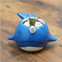 Narwhal DIY terrarium gardening kit front view square