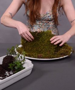 flip your reindeer moss to face the green side out square