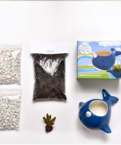 supplies inside diy narwhal gardening kit