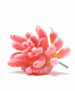 pink faux succulents