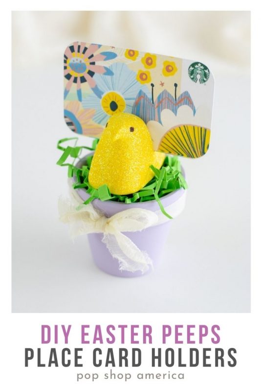DIY Easter Peeps Place Card Holders Pinterest
