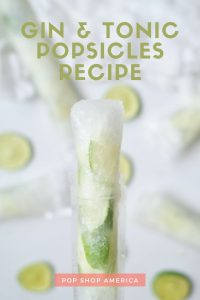 gin and tonic popsicles recipe pop shop america